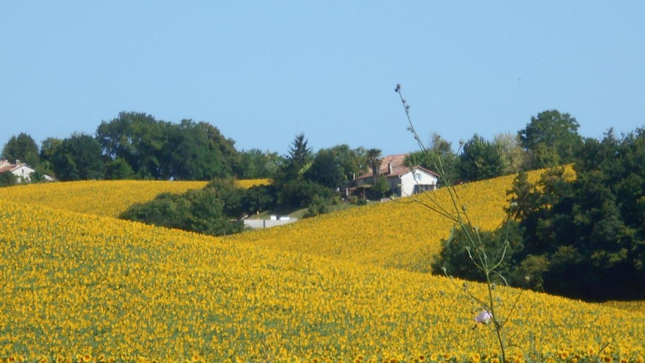 Вилла La Tranquillite, Le Repos Nanteuil-Auriac-de-Bourzac Экстерьер фото
